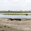 BWA NW Chobe 2016DEC04 NP 068 : 2016, 2016 - African Adventures, Africa, Botswana, Chobe National Park, Date, December, Month, Northwest, Places, Southern, Trips, Year